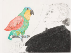 Félicité et le perroquet Loulou