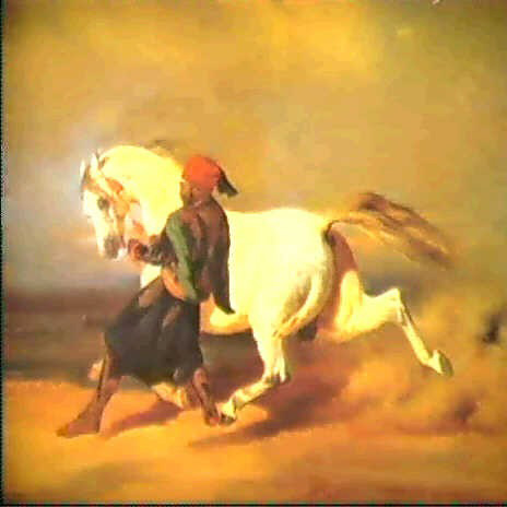 Cheval d'Abd el Kader